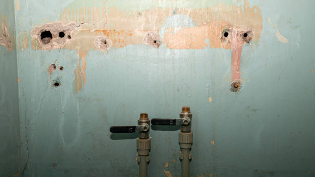Best Water damage cleanup near me  in East Bangor, PA