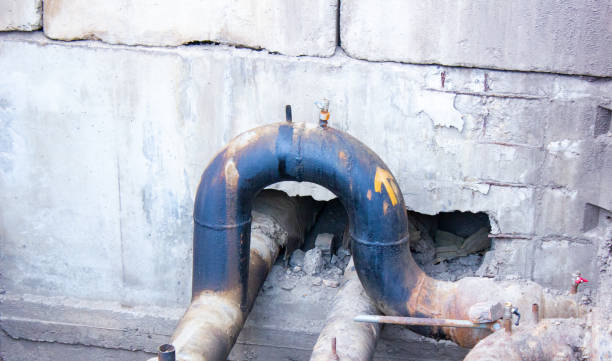 Best Water damage cleanup near me  in East Bangor, PA