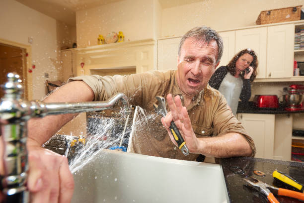 Best Local water damage restoration  in East Bangor, PA